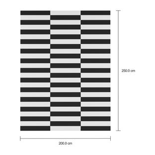 Imagem com medidas do produto TAPETE 2 M X 2,50 M ZEBRE